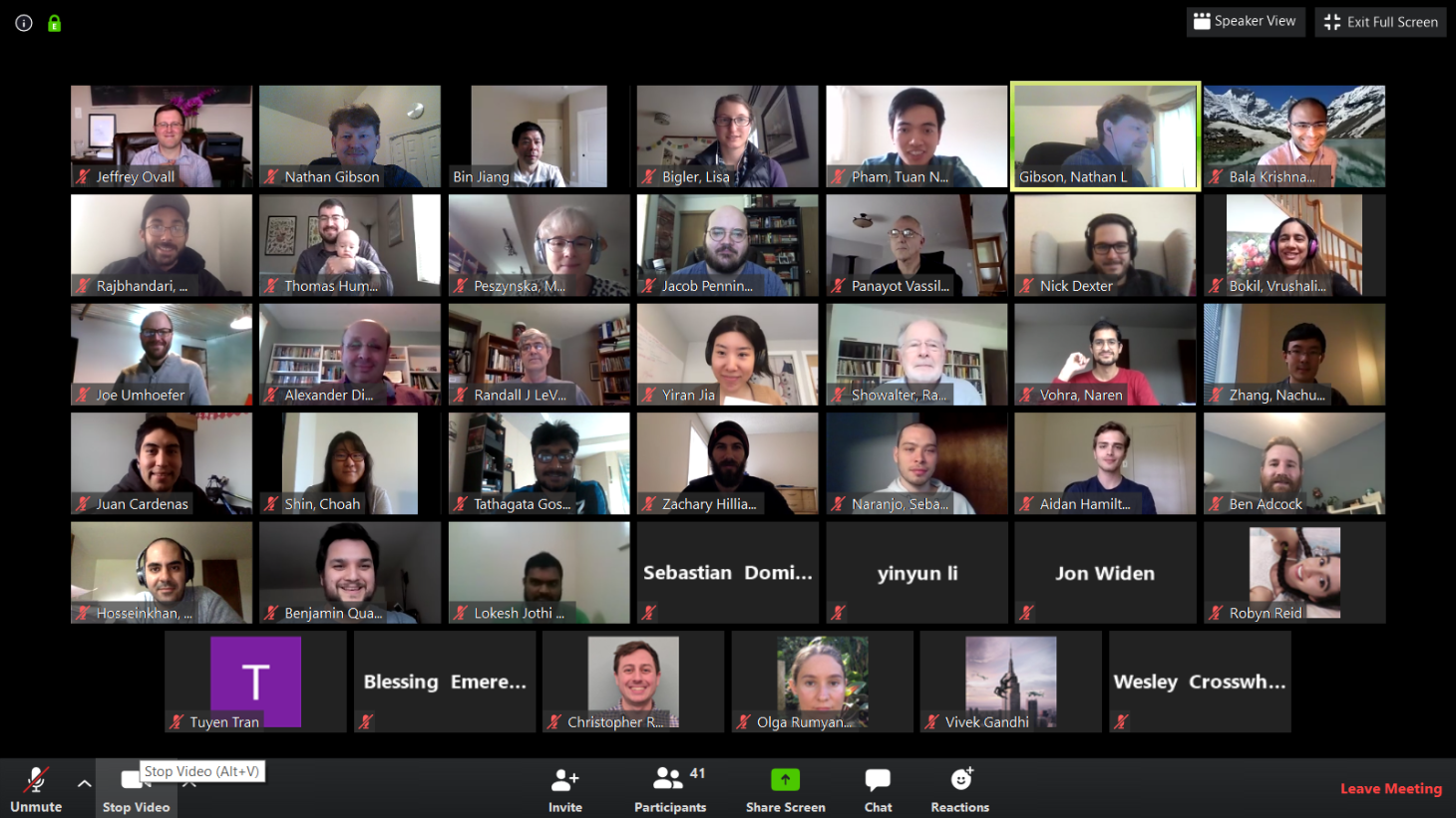 A screenshot of a zoom call with participants of Cascade RAIN.