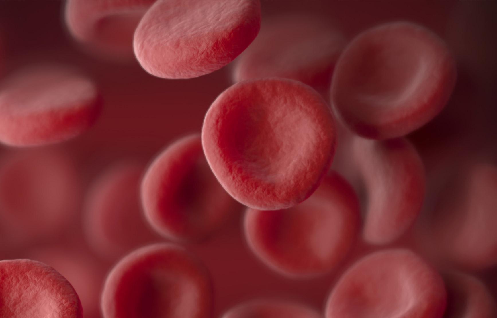 Blood cells on a red background